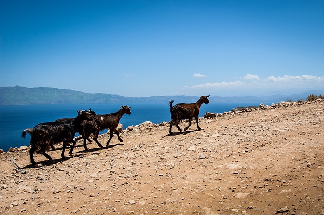 Crete nature