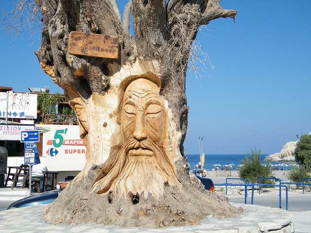 olive tree with a face in Crete